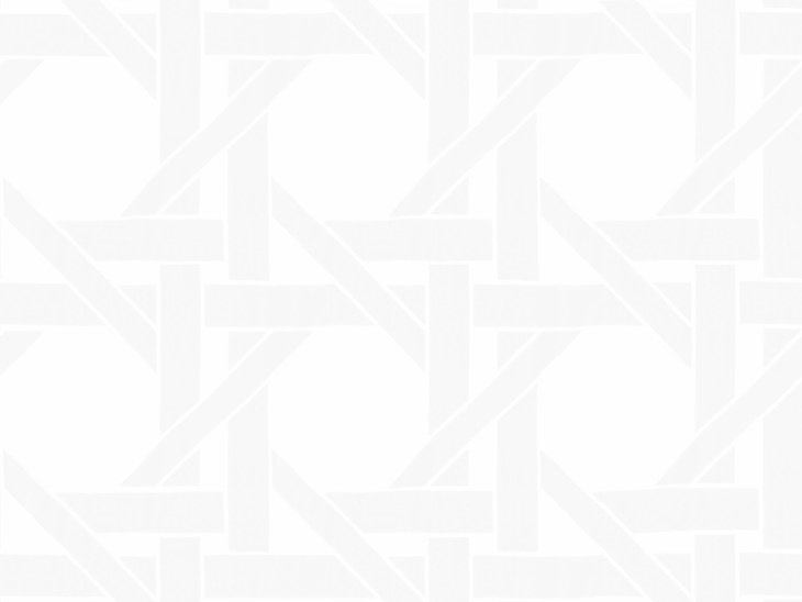 Образец ткани Espocada 2529/10 из каталога поставщика